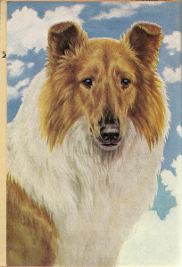Scan_Pic0060
