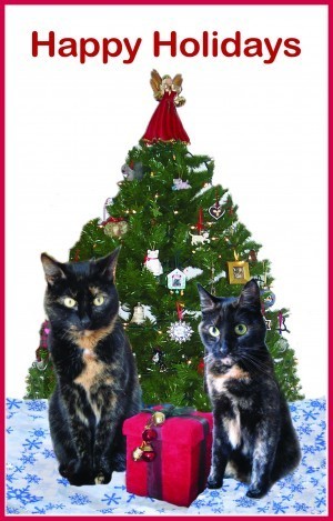 holiday card 2012 red border