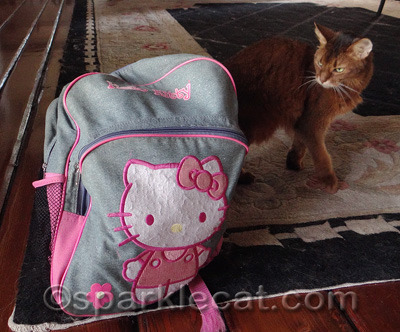 This backpack seems a little hollow