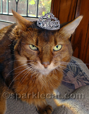Crown yes, tiara no!