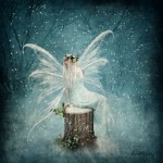 Winter fairy