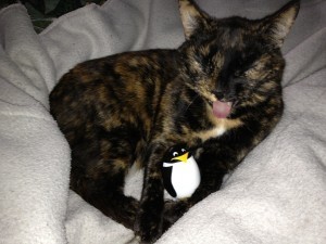 13A Oobie RP Sharing a joke