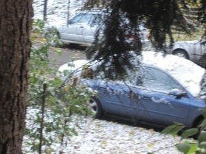 wintery mix 003