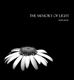 The Memory of Light by Sarah Elwell