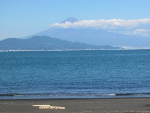 IMG_3517