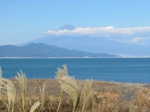 IMG_3515
