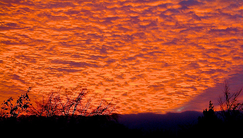 Autumn Sunset