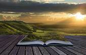 Book and contents