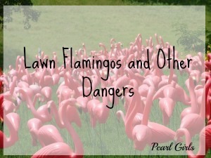 flamingo-261732-m