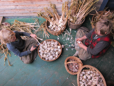 Da boyz, putting money in the bank