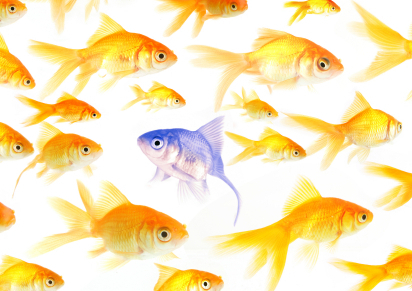 Differentiation Fish2