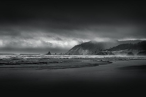_DSC0164