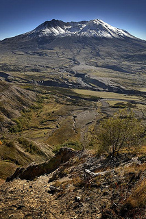Mt. St. Helens