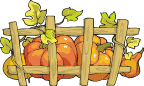 Pumpkin is the richest source of antioxidants called carotenes.