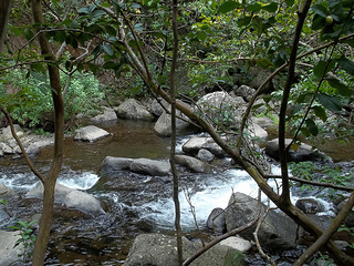 Stream