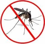 prevent-malaria