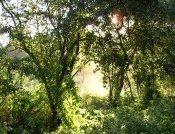 clip_image002