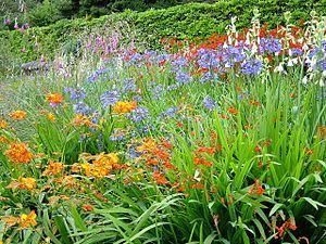 English: Herbaceous border, Inverewe Gardens. ...