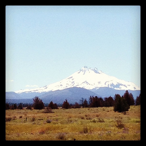 Just saw THREE white WILD horses out here. Is it a birthday omen? Amazing!