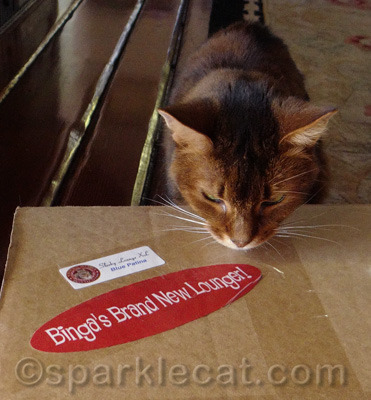But all boxes are supposed to be for me!
