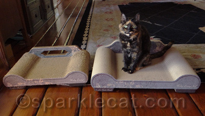 She is more than happy to take possession of it.
