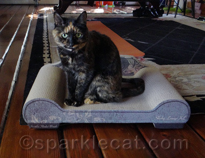 Ack! Now she is POSING!