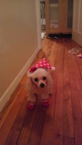 Introducing Mrs. Sandman.