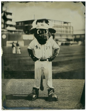 Durham Bulls mascot Wool E. Bull. Wet-plate tintype by Leah Sobsey/Tim Telkamp.