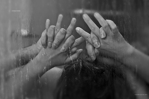 Image Hosted by ImageShack.us