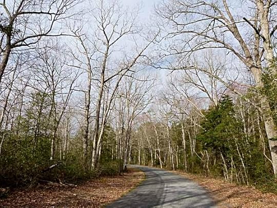 BelleplainRoad