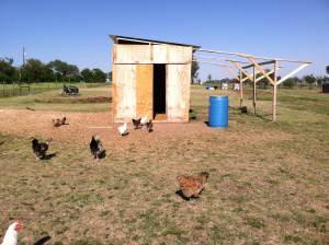 Chicken coop with overhang that would be made into a sheep pen.