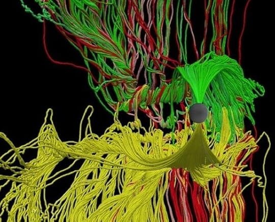spaghetti-universe