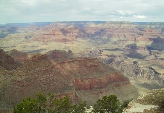 Grand Canyon North Rim Beauty 