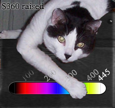 Mau Meter