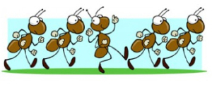 Squishing the odd cockroach is one thing, but ant genocide? Not for me.