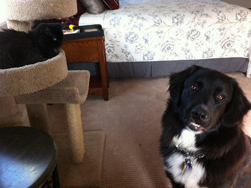 My new favorite picture of Greyson