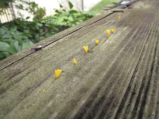 it rained so much last night