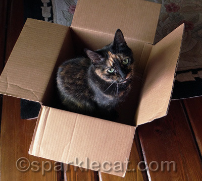 I can't use packing peanuts - she would probably eat them