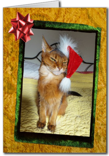 Naughty Christmas Kitty Card