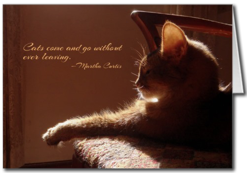 Cats Come and Go Card