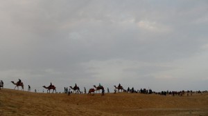 SAM_5348