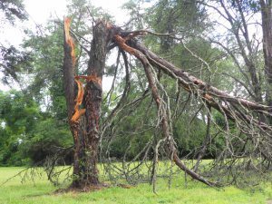 SAMSUNG DIGITAL CAMERA