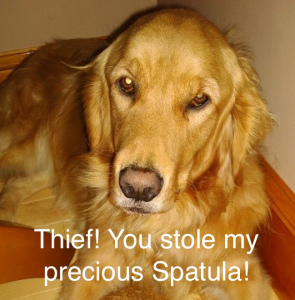 Spatula and Ruby