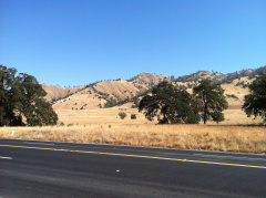 This photo does not capture the richness of this scene. In October, the hills of northern California are golden and punctuated with the deep dusty green of the low trees.