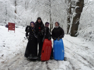 Winter Gimpics