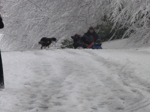 Winter Gimpics