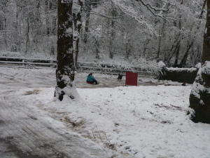Winter Gimpics