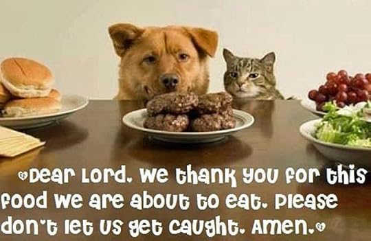 cat-eats-human-food1