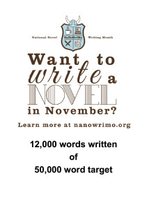 NaNoWriMo flyer 2