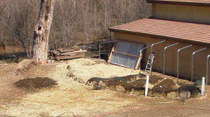first lasagna garden